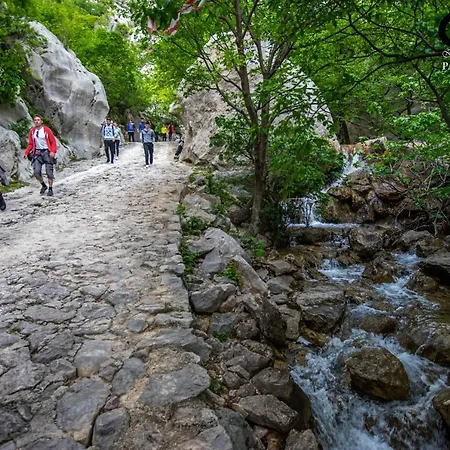 דירה La Vista סלינה